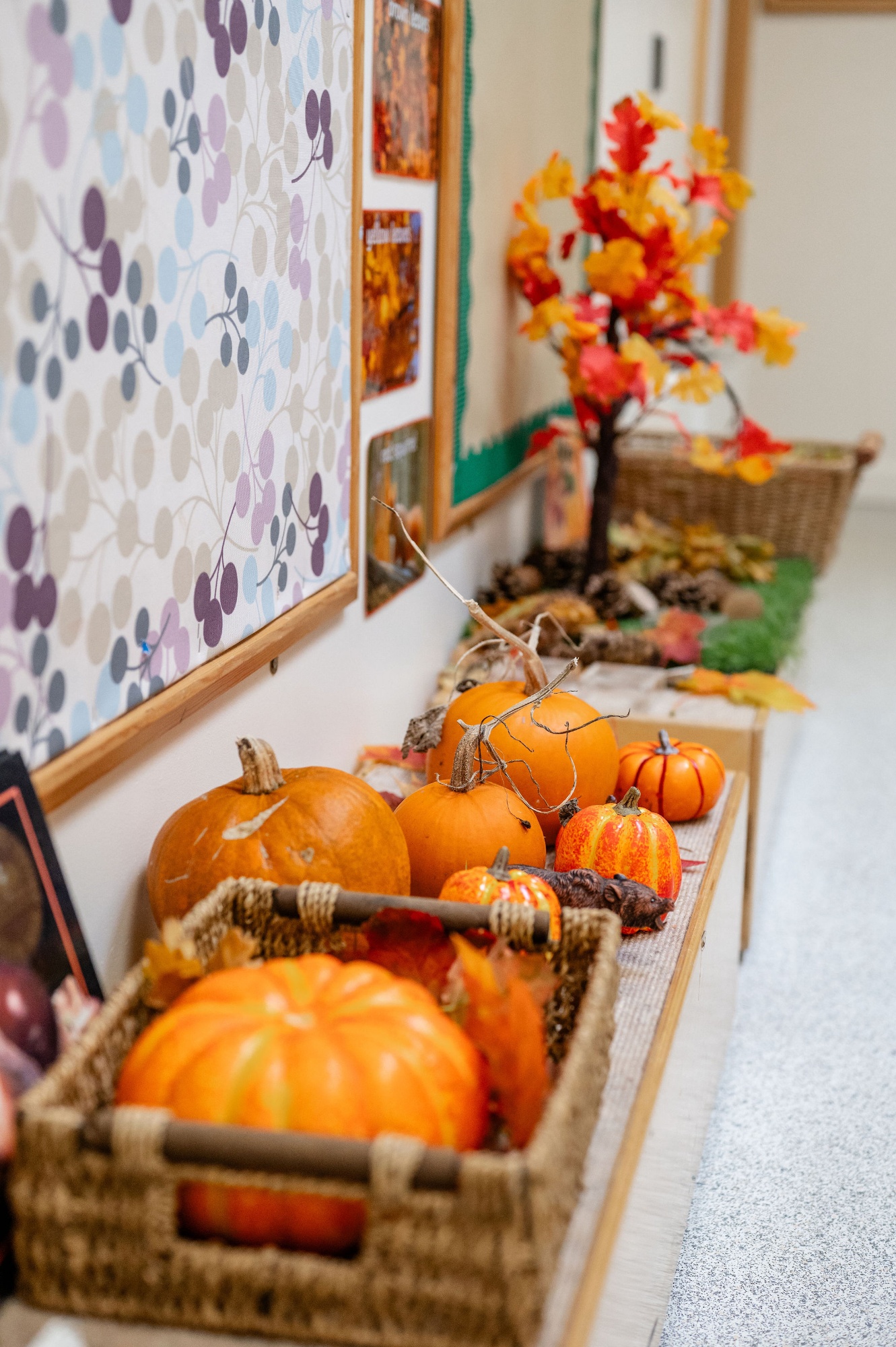 an autumnal classroom display with pumpkins and models of trees
